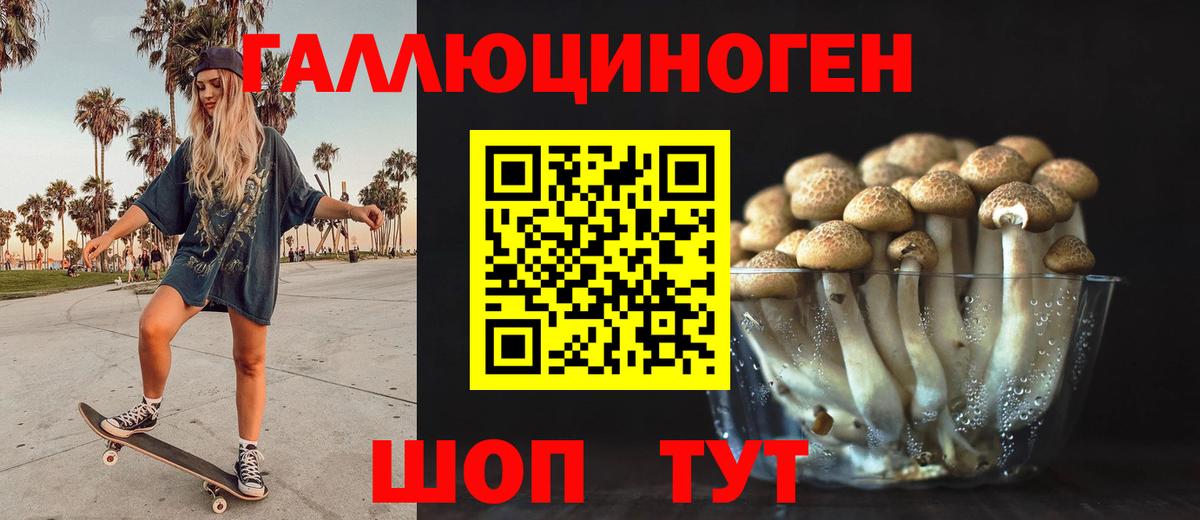 Галлюциногенные грибы Cubensis Амурск